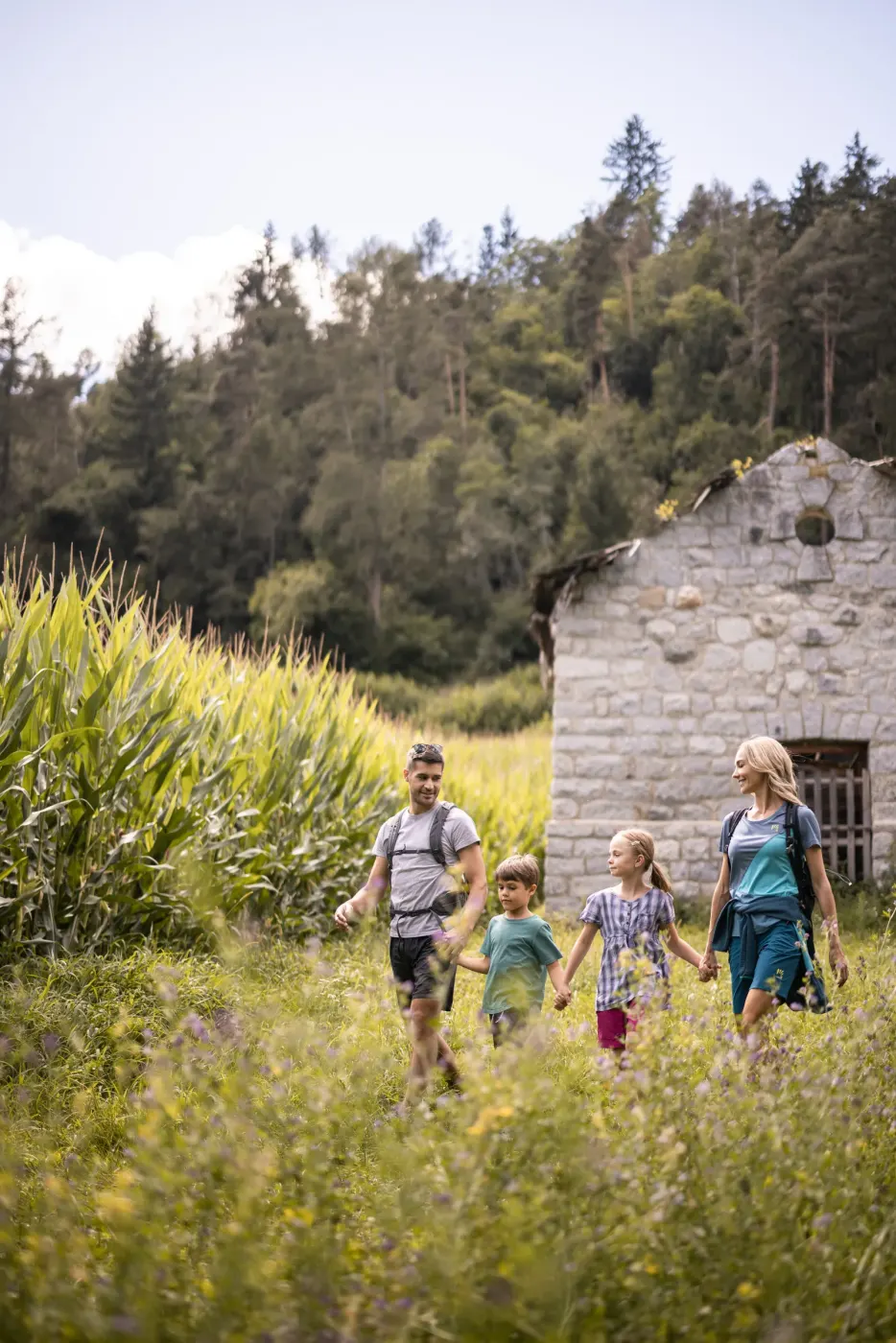 Hiking and walking in South Tyrol